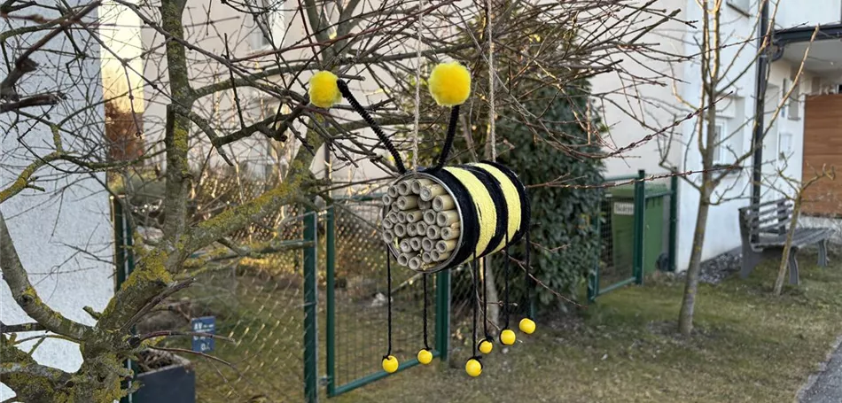 Bastel dein eigenes Insektenhotel! Bastel dein eigenes Insektenhotel!