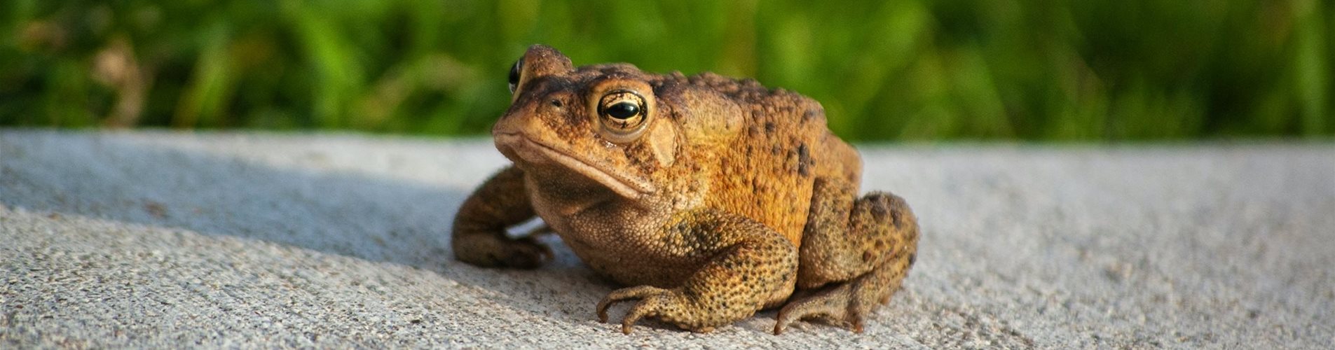 byron-burns-LL79LBONKOA-unsplash-0-308-3008-1692 byron-burns-LL79LBONKOA-unsplash-0-308-3008-1692