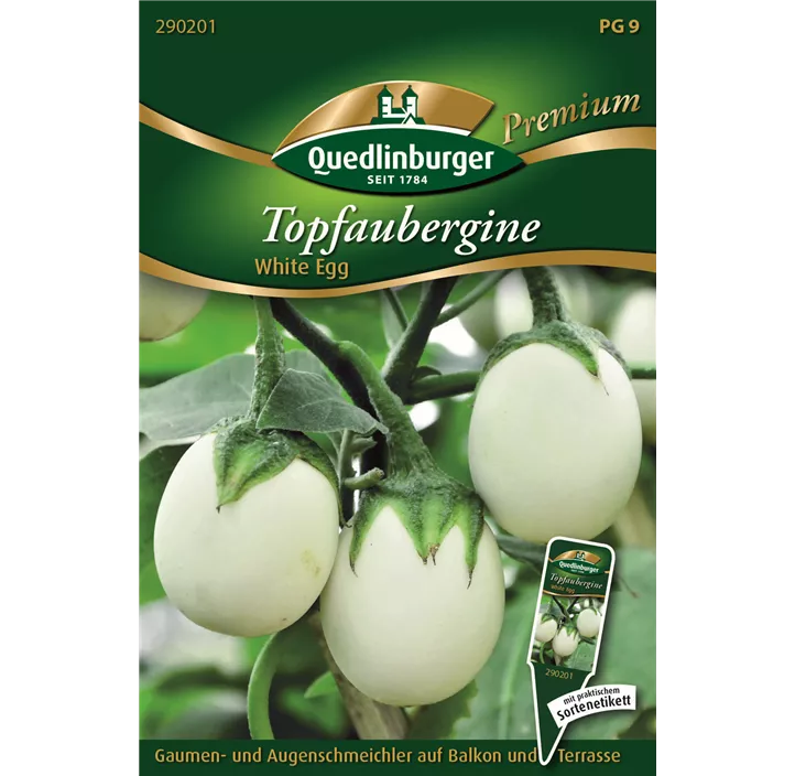 Topfaubergine White Egg