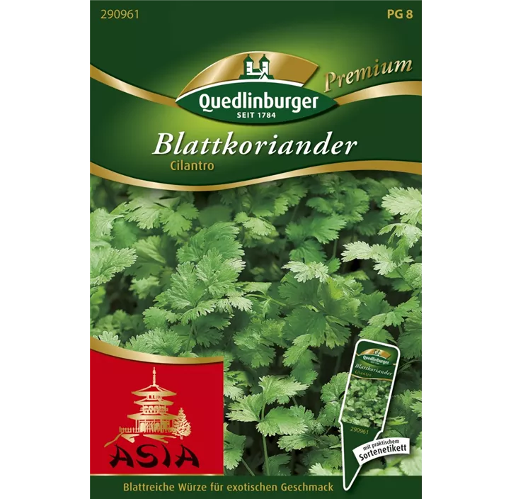 Blattkoriander Cilantro