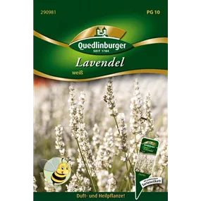 Lavendel weiß