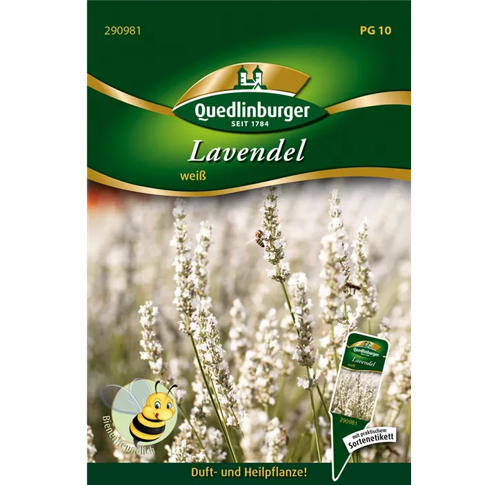 Lavendel weiß