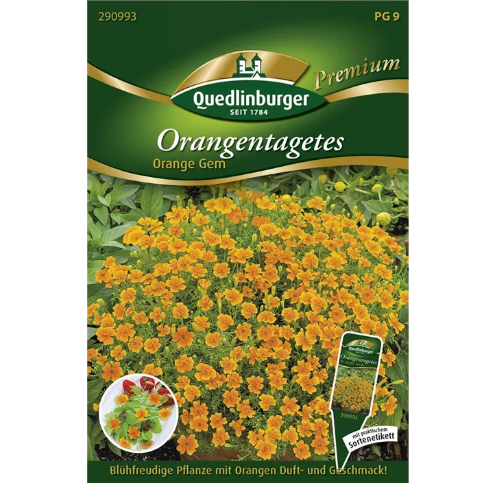 Orangentagetes Orange Gem