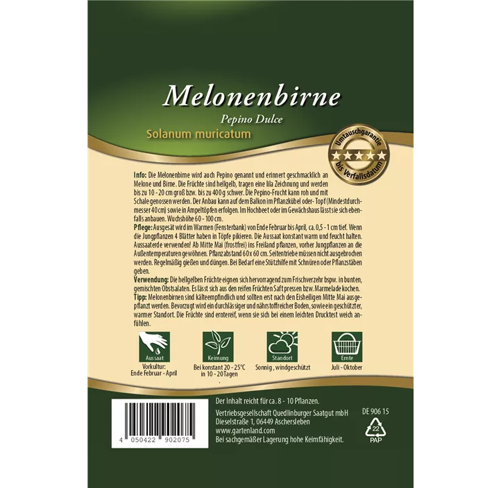 Melonenbirne Pepino Dulce 