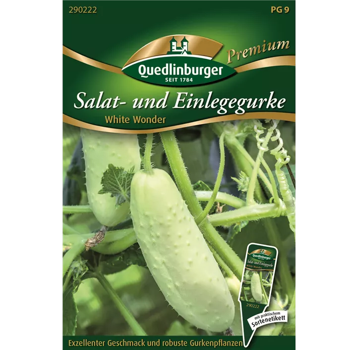 Salat- und Einlegegurke White Wonder