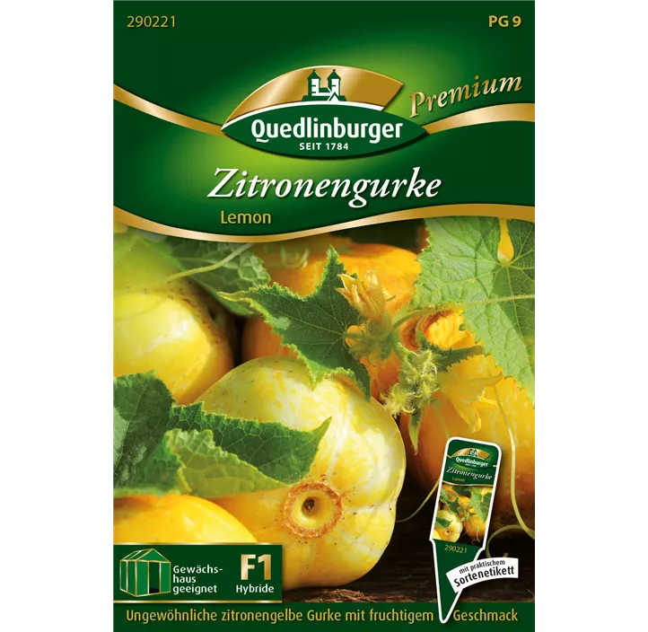 Zitronengurke Lemon