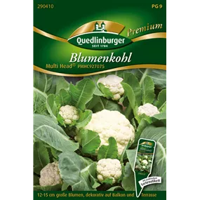 Blumenkohl Multi Head