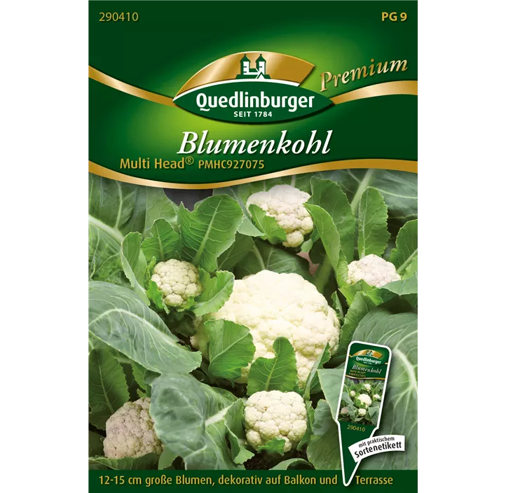 Blumenkohl Multi Head