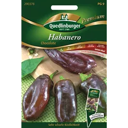 Habanero Chocolate