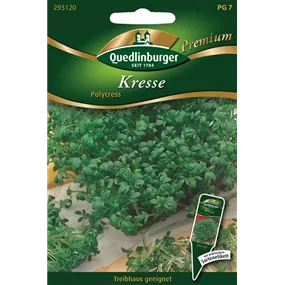 Kresse Polycress