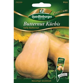 Butternut Kürbis Early Butter