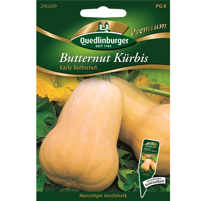 Butternut Kürbis Early Butter