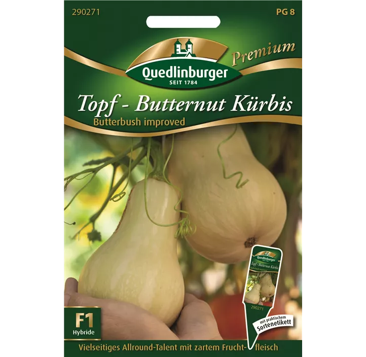 Topfkürbis Butternut