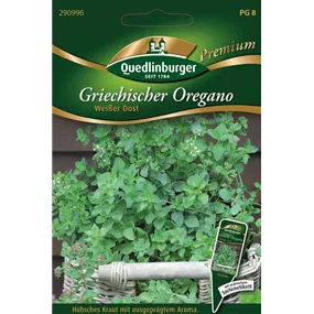 Oregano Griech.- Weißer Dost