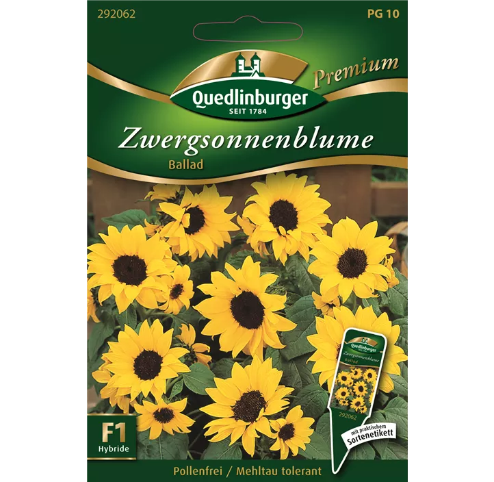 Zwergsonnenblumen Ballad