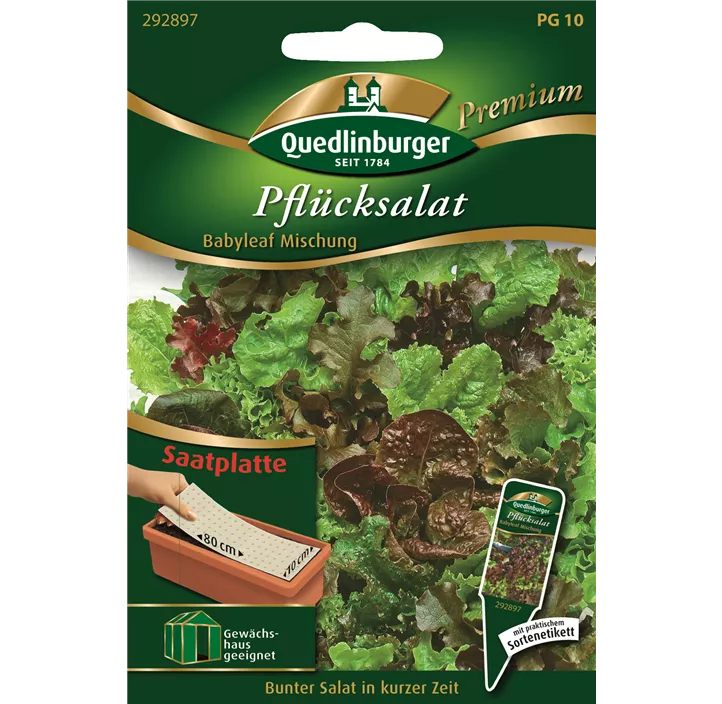 Pflücksalat Babyleaf Mischung