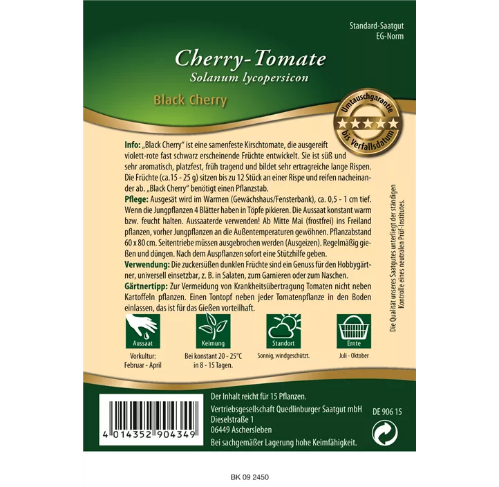 Cherry-Tomate Black Cherry