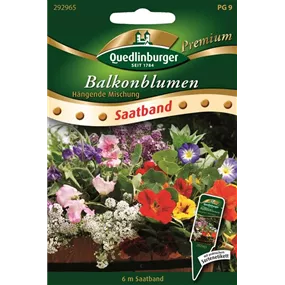 Balkonblumen hängende Mischung