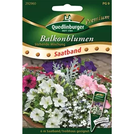 Balkonblumen stehende Mischung