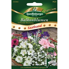 Balkonblumen stehende Mischung