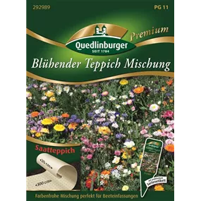 Blühender Teppich