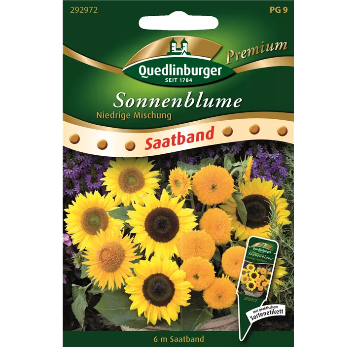 Sonnenblumen niedrige Mischung