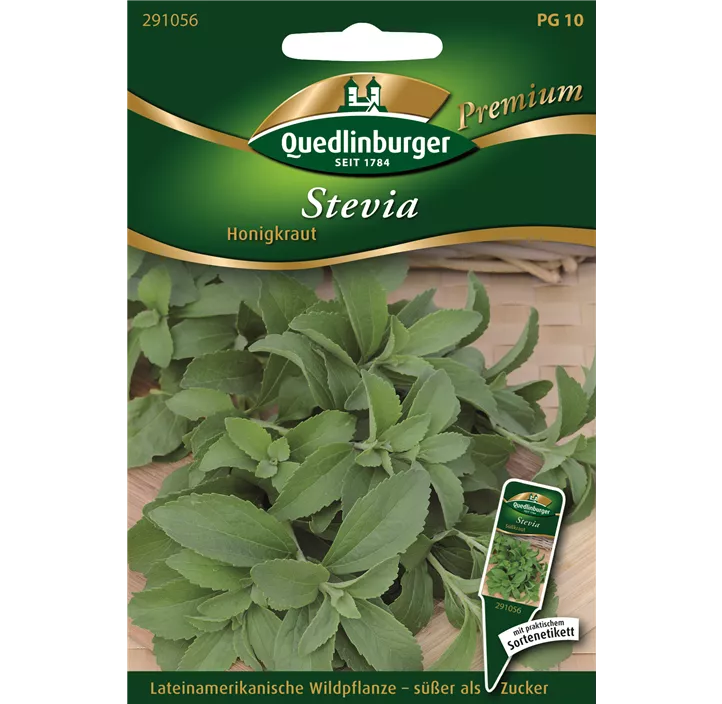 Stevia Süßkraut