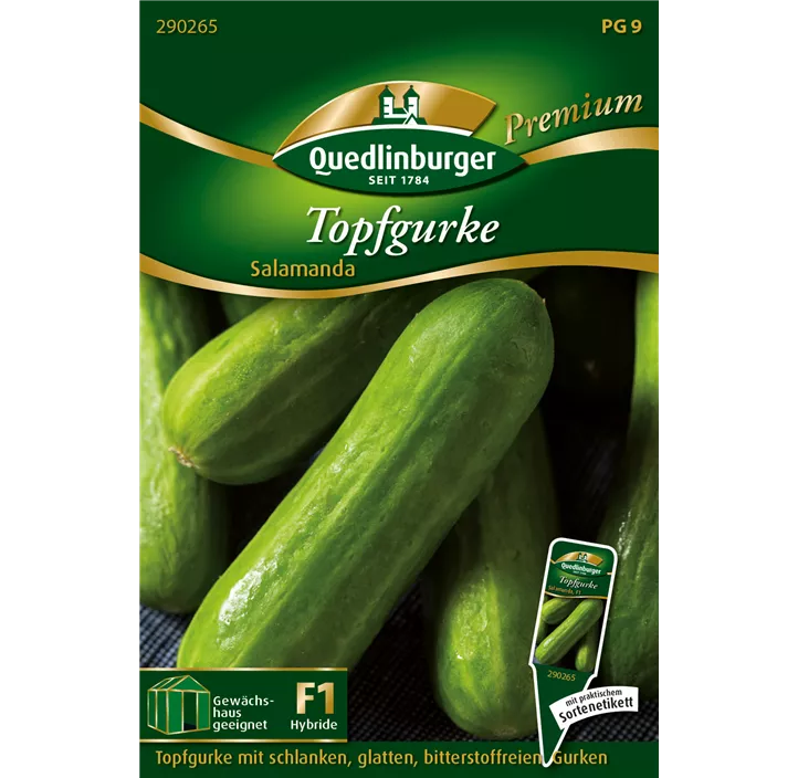 Topfgurke Salamanda