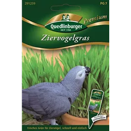 Ziervogelgras