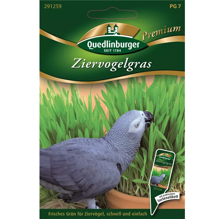 Ziervogelgras