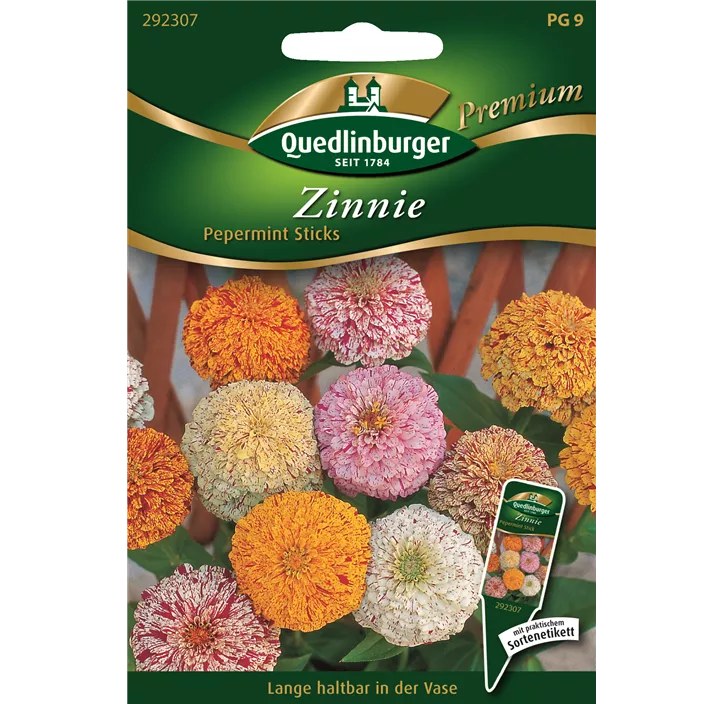 Zinnien Pepermint Sticks