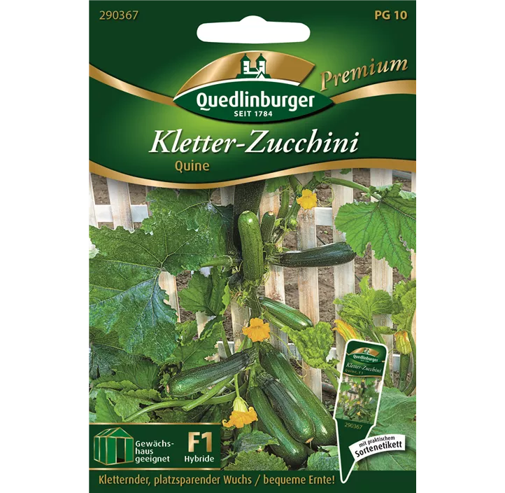 Kletter-Zucchini Quine