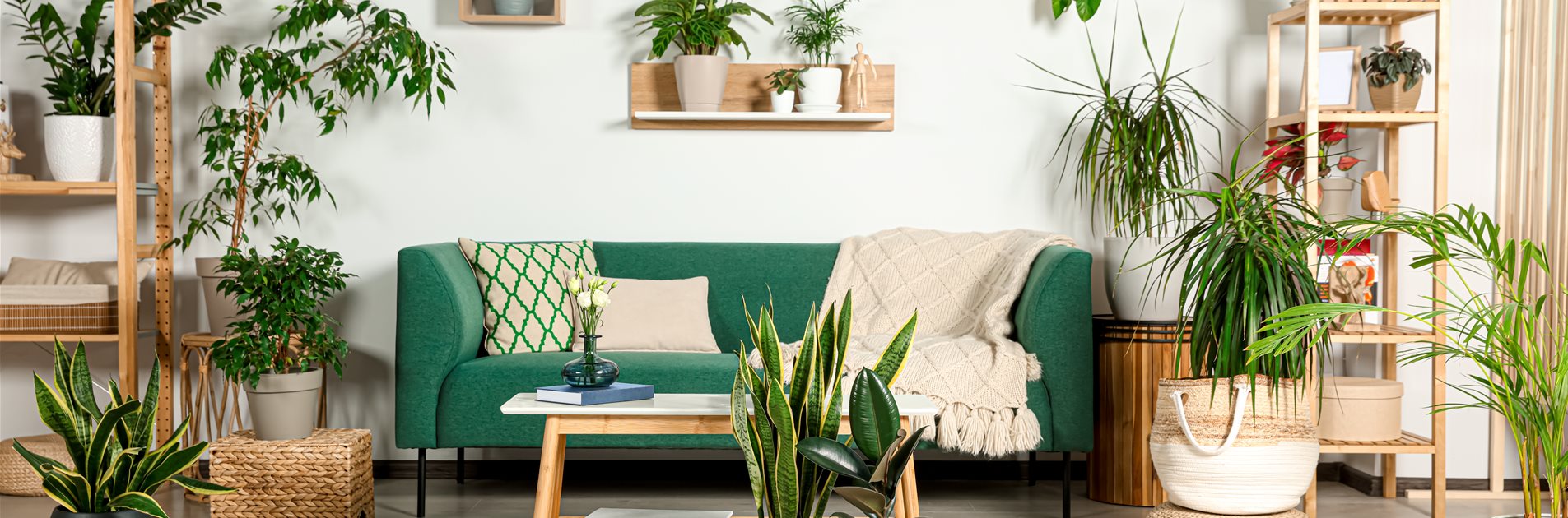 Grün und trendy Grün und trendy