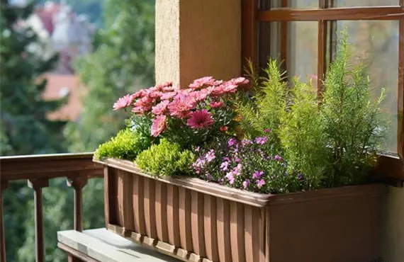 Firefly bräunlicher schmaler Balkonkasten auf dem Balkon mit verschiedenen rosa Blumen, soll inkludi.jpg