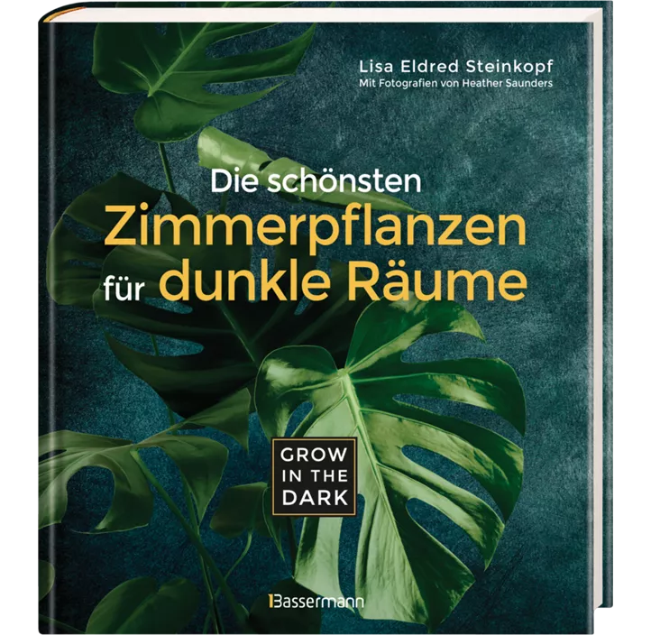 Grow in the Dark - Die schönsten Zimmerpflanzen für dunkle Räume