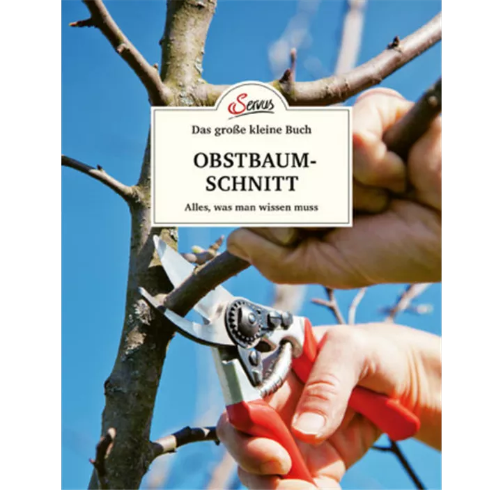 Obstbaumschnitt