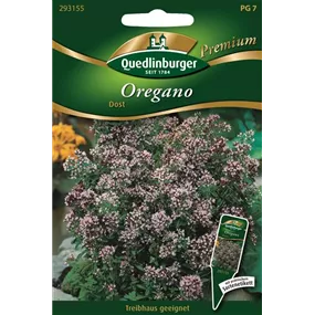 Oregano Dorst