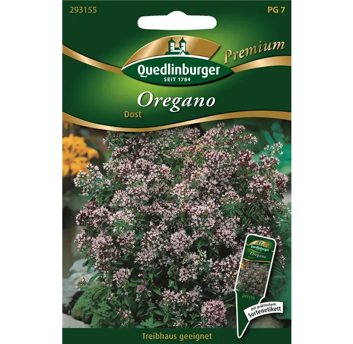 Oregano Dorst