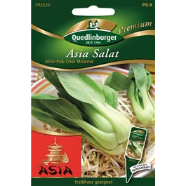 Asia Salat Pak-Choi-Mini Misome