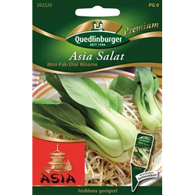 Asia Salat Pak-Choi-Mini Misome