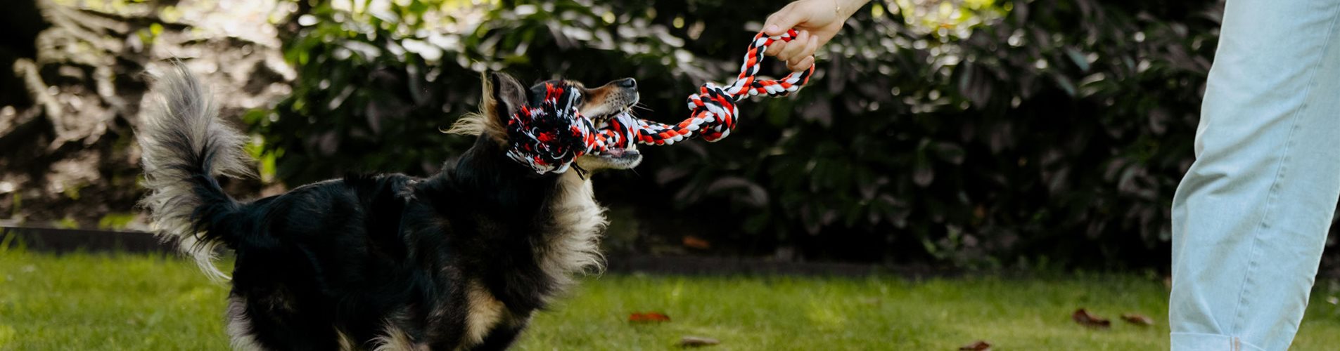 Hundespielzeug Hundespielzeug