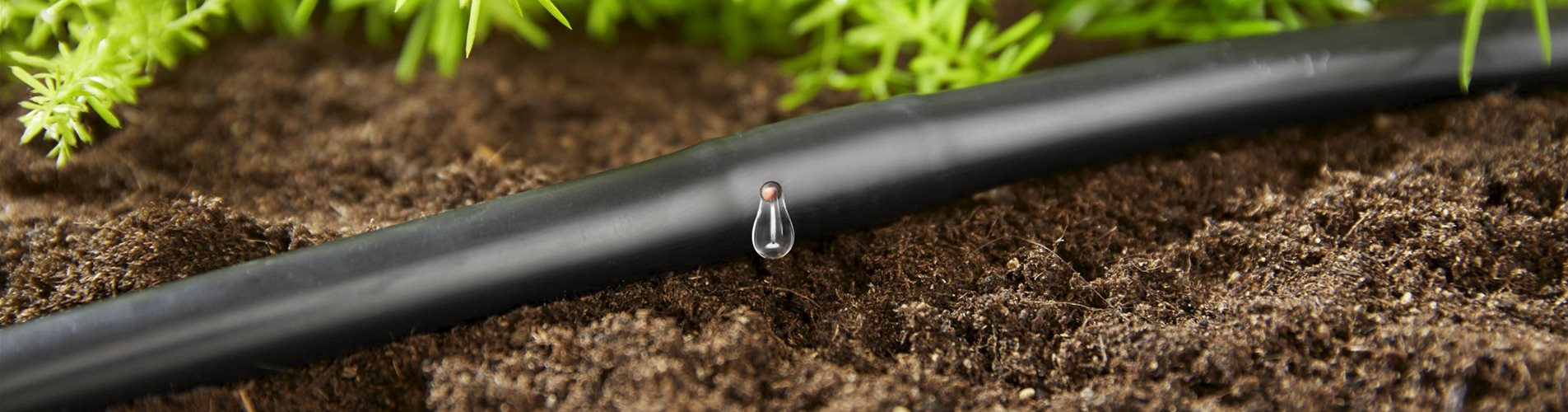 Microdrip Bewässerung Microdrip Bewässerung