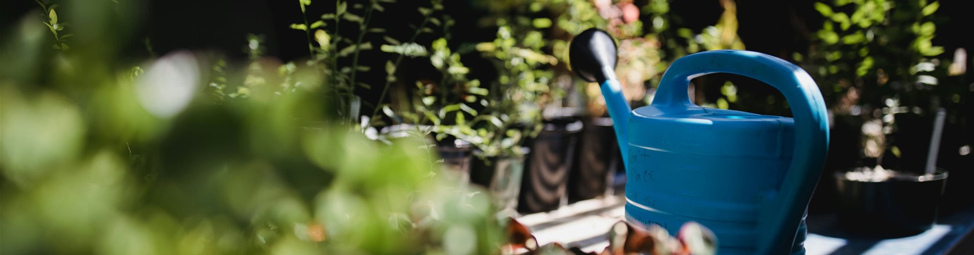 jason-leung-DxK_D-dWJPo-unsplash-0-144-6720-3780 jason-leung-DxK_D-dWJPo-unsplash-0-144-6720-3780