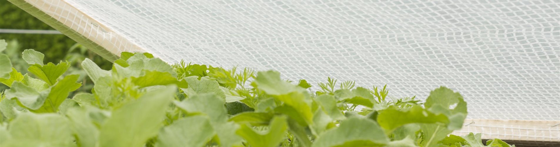 9003117064799_2-0-449-2000-1125 9003117064799_2-0-449-2000-1125