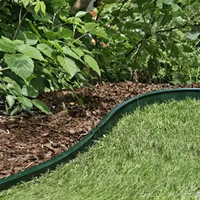 Rasenkante Green Border