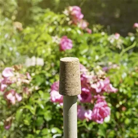 Korken für Rosenkugeln