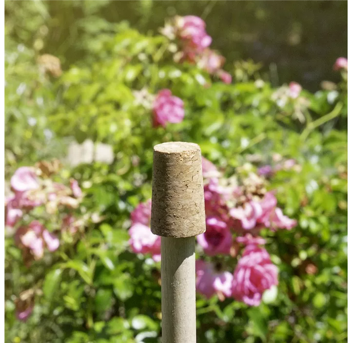 Korken für Rosenkugeln