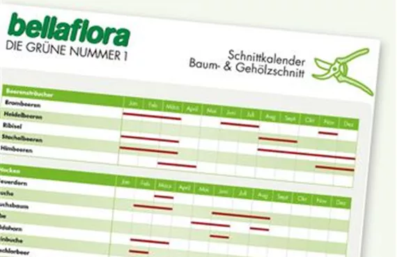 csm_kalender_schnittkalender_7fa930f376.jpg