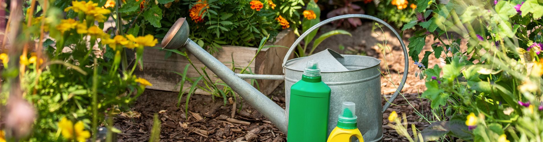 Dünger - Flüssigdünger und Gießkanne Dünger - Flüssigdünger und Gießkanne