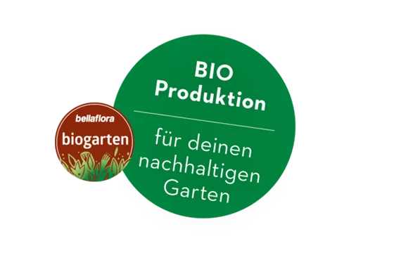 csm_BIO-Produktion1_f229f30d70.png